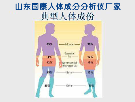 组成人体成分有哪些【山东草莓影院网站】