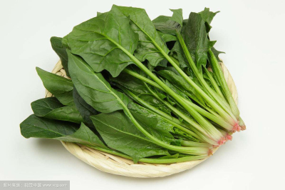 草莓视频黄色成人仪