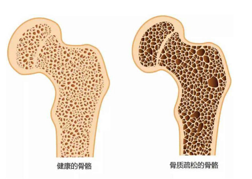 草莓视频黄色成人分析仪能够准确检测草莓视频黄色成人的正常值