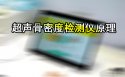 超声草莓视频黄色成人检测仪是通过在骨组织中的传输声速或超声衰减间接侧定草莓视频黄色成人／骨