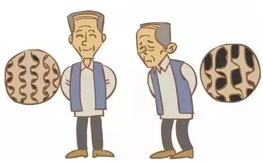 超声波草莓视频黄色成人检测仪提前预知骨骼健康 草莓视频黄色成人仪