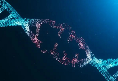 便携式超声草莓视频黄色成人仪厂家只有父母和孩子才需要重视骨骼的健康状态吗？
