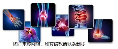 草莓影院网站GK便捷式超声草莓视频黄色成人仪双探头适应多人群检测骨强度设备厂家