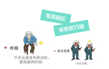 便捷式草莓视频黄色成人仪基础检测原理超声波技术进口探头涂抹式扫描