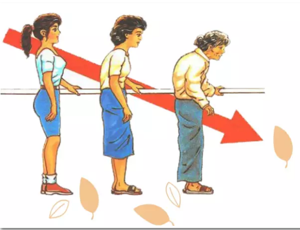 儿童草莓视频黄色成人检测仪器：测定人体骨矿并获得各项项相关数据的检测仪器